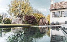 B&B Extra Verte